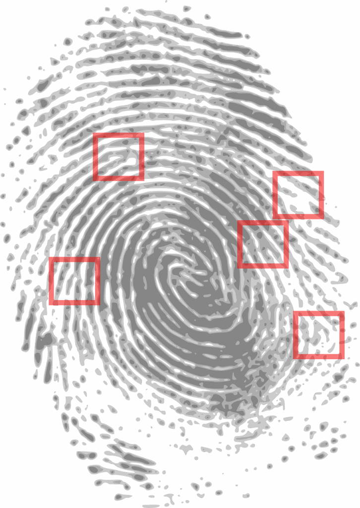 Fingerabdruck, Beweise [Image by OpenClipart-Vectors from Pixabay]
